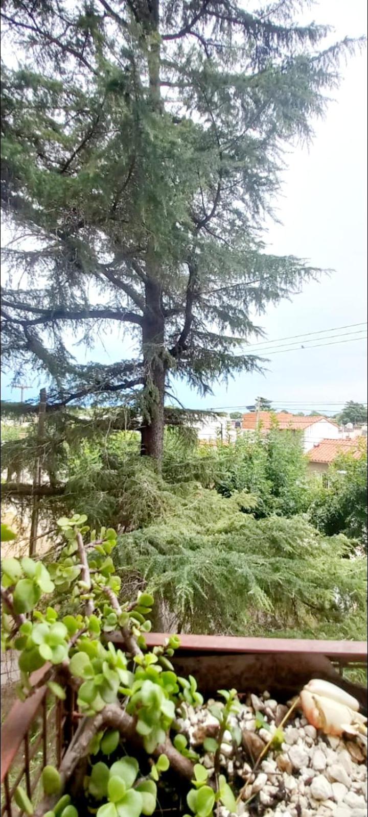 Apartment Torre 5 *